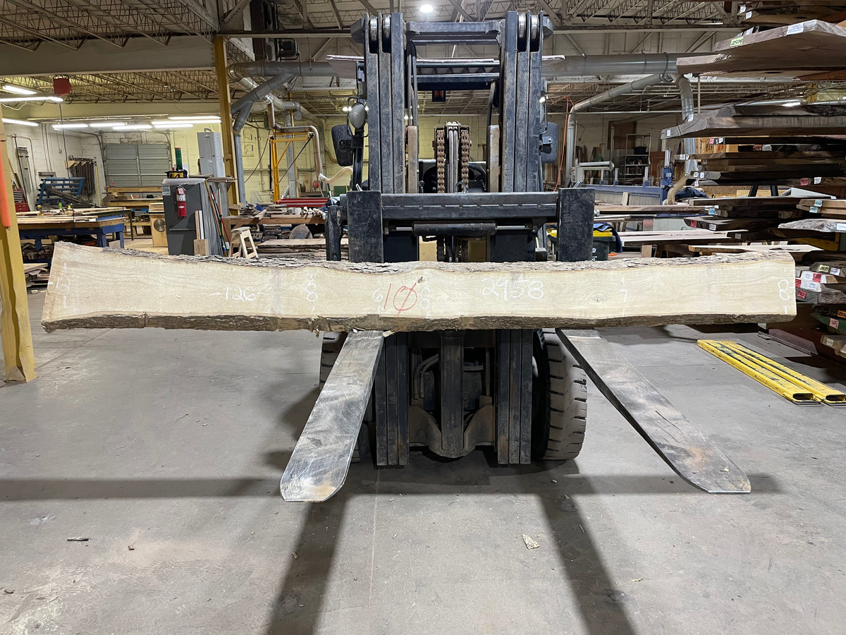 Hackberry (2958) 126” L x 6-12” W x 2” T
