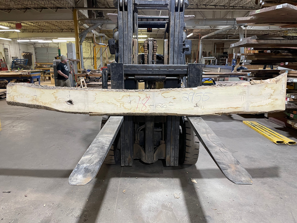 Hackberry (2955) 126” L x 6-15” W x 2” T