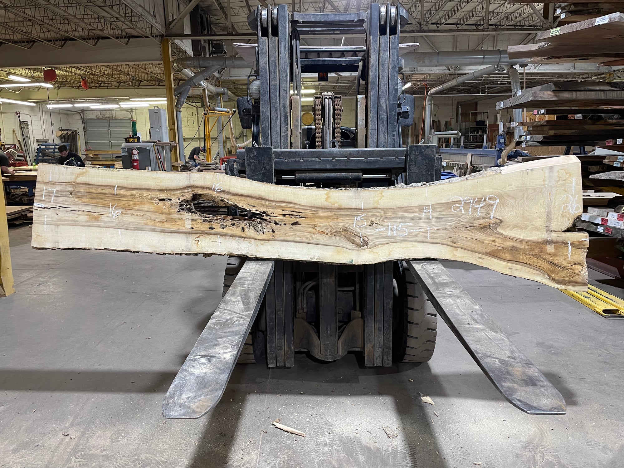 Hackberry (2949) 114” L x 14-26” W x 2” T