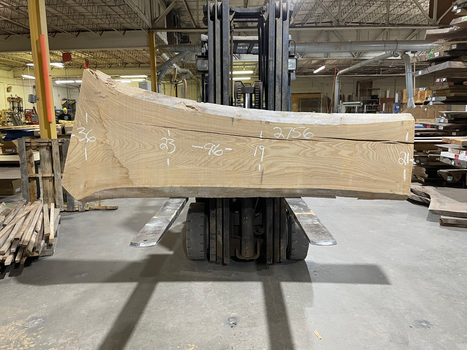 SIBERIAN ELM (2756) 96” L X 19-36” W X 3” T