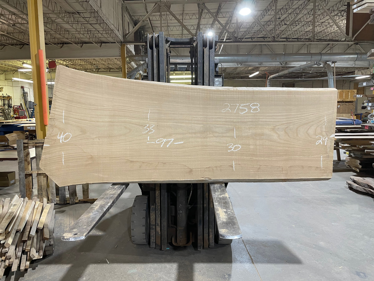 SIBERIAN ELM (2758) 97” L X 29-40” W X 3” T