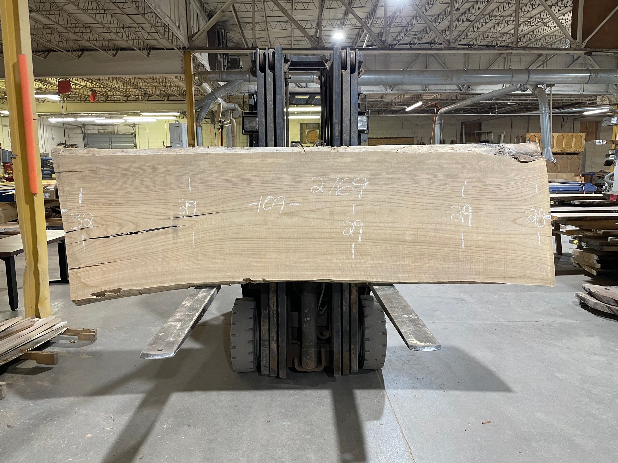 SIBERIAN ELM (2769) 109” L X 28-32” W X 3” T