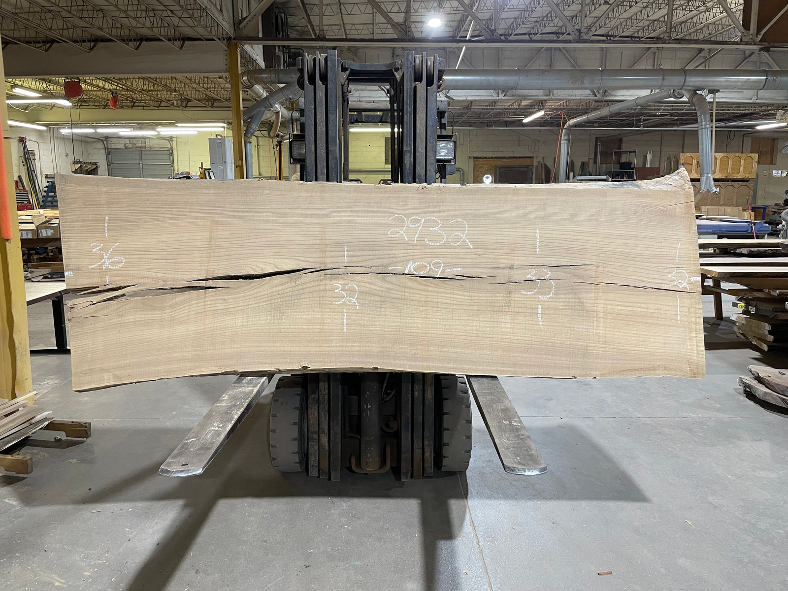 SIBERIAN ELM (2932) 109” L X 32-36” W X 3” T