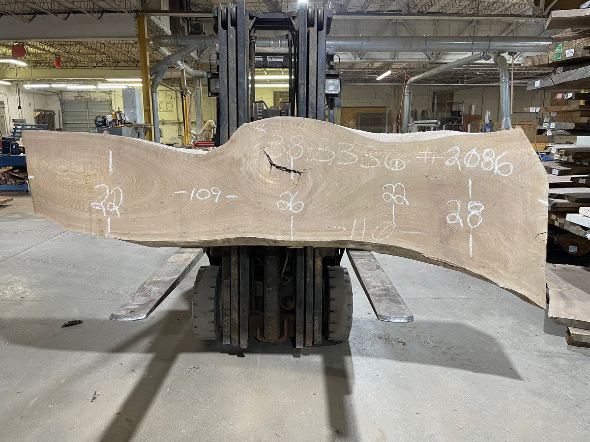 Red Elm (2086) 109” L x 22-28” W x 2.75” T