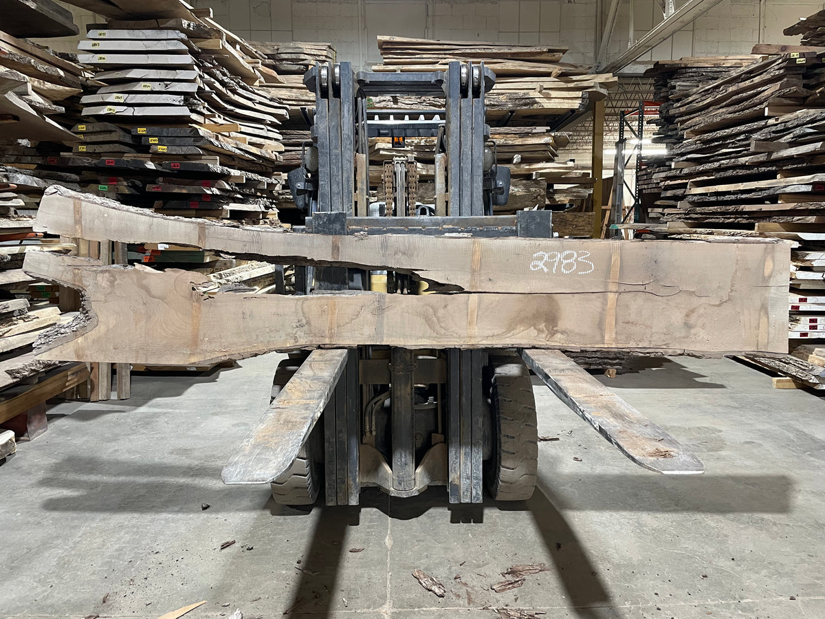 BLACK WALNUT (2983) 130” L x 18-30” W x 2.5” T