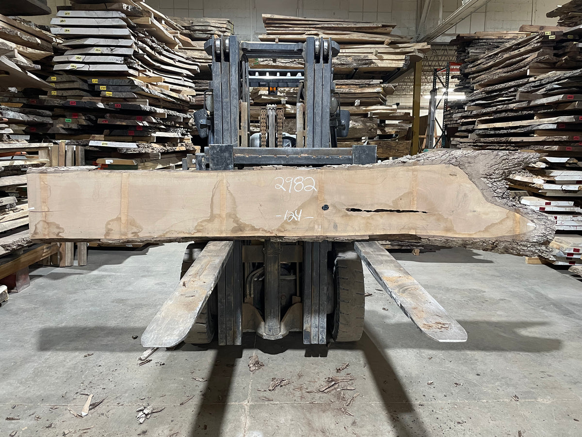 BLACK WALNUT (2982) 130” L x 17-26” W x 2.5” T