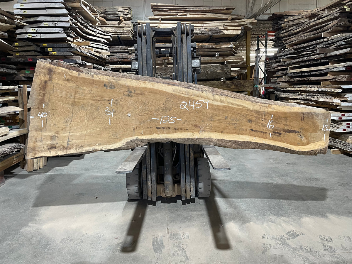 White Oak (2459) 125” L x 15”- 40&quot; W x 2” T