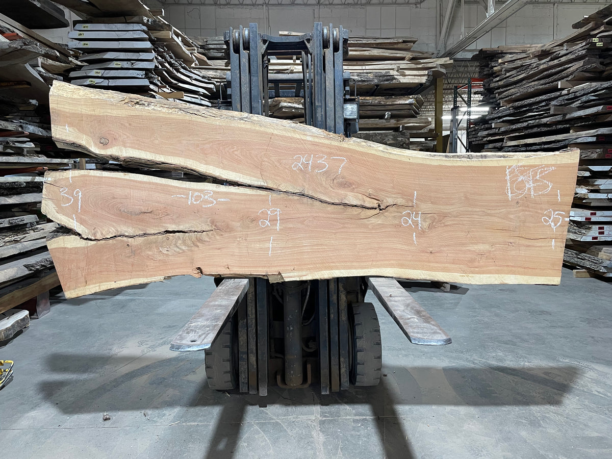 Honey Locust (2437) 103” L x 24-39” W x 3” T