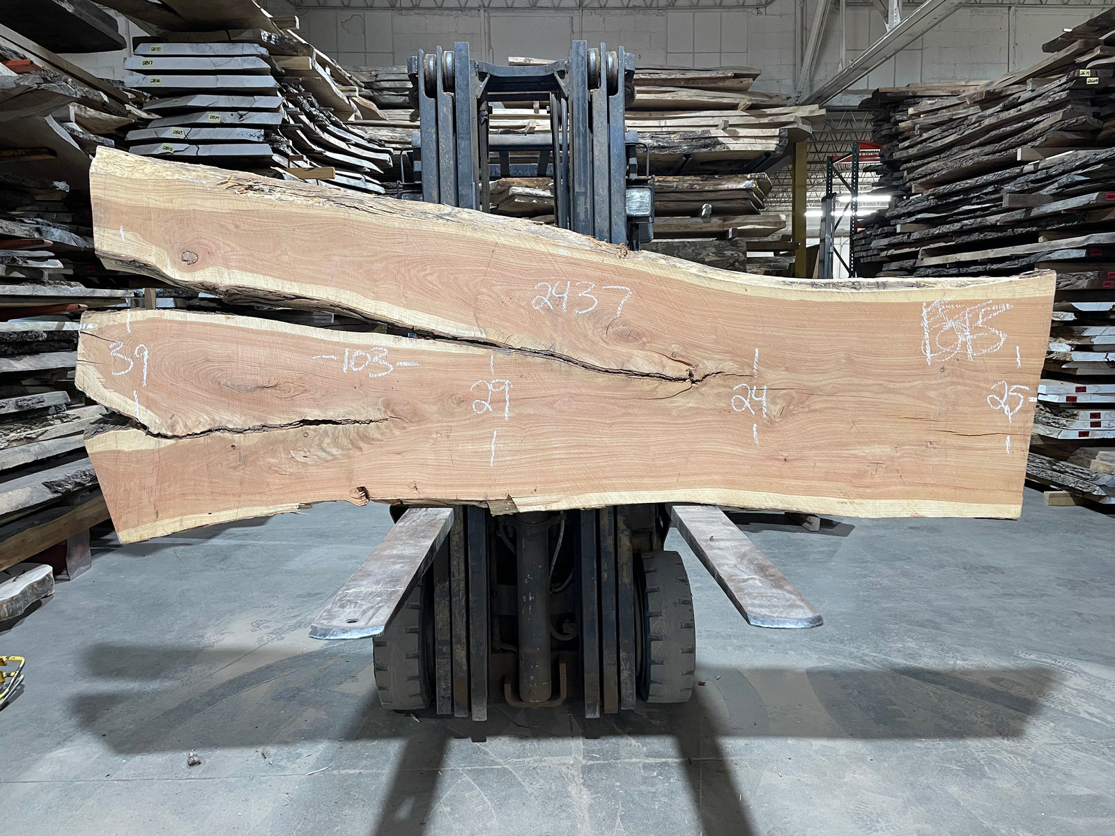 Honey Locust (2437) 103” L x 24-39” W x 3” T