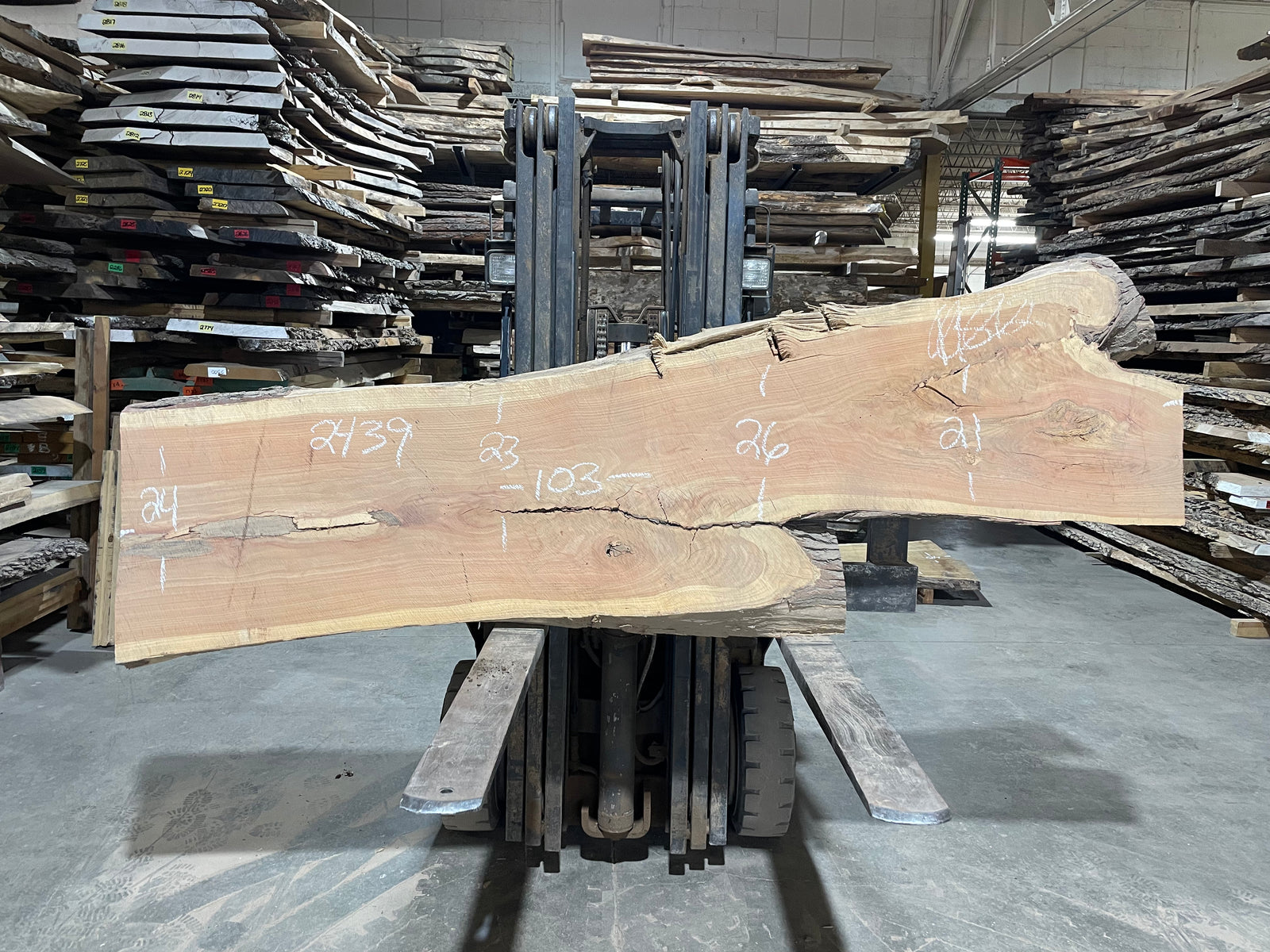 Honey Locust (2439) 103” L x 21-26” W x 3” T