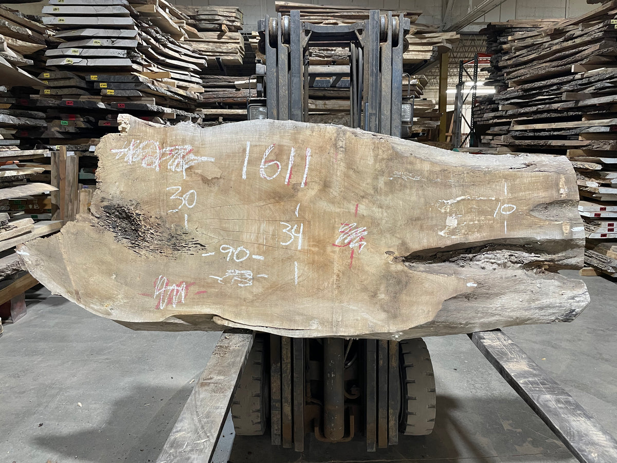 Sugar Maple (1611) 90&quot; L x 19-34&quot; W x 3&quot; T