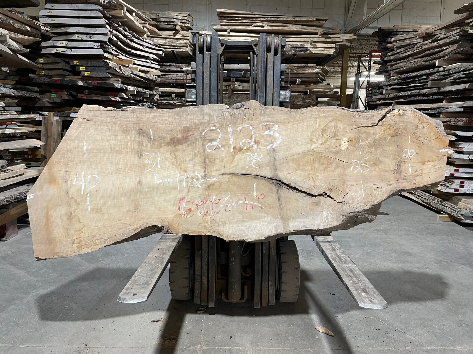 Maple - (2123) 112" L x 20-40" W x 3" T