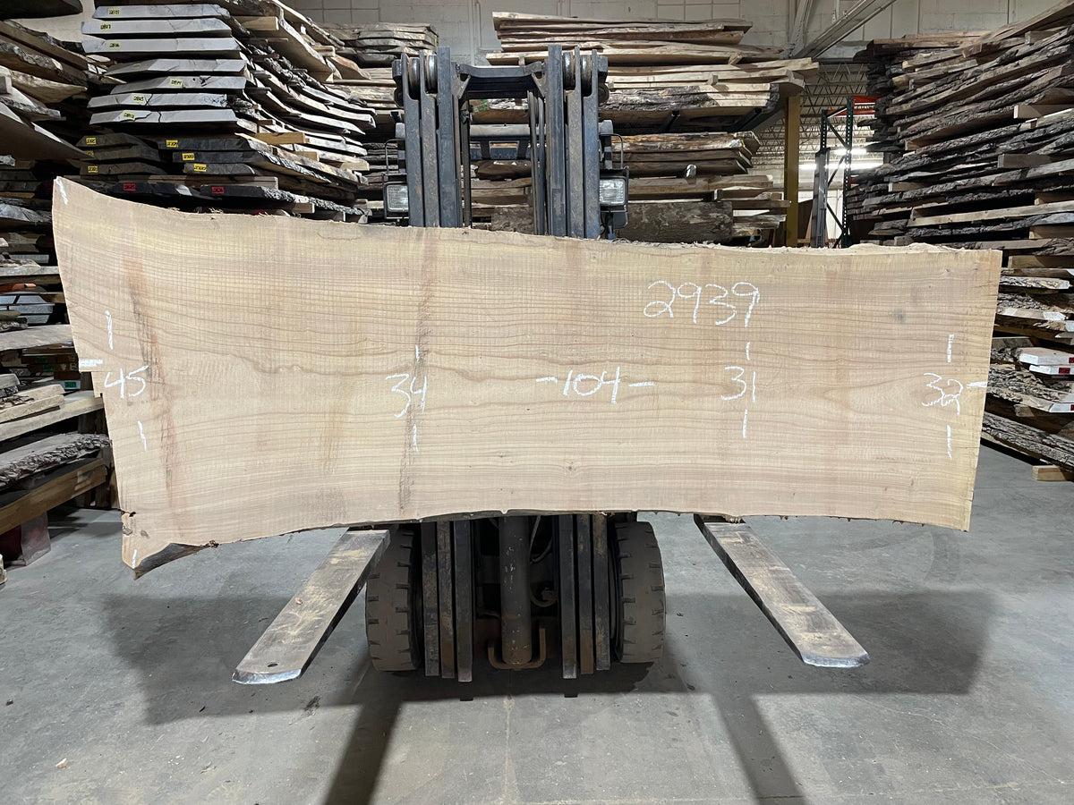 SIBERIAN ELM - (2939) 104” L X 31-45” W X 3” T