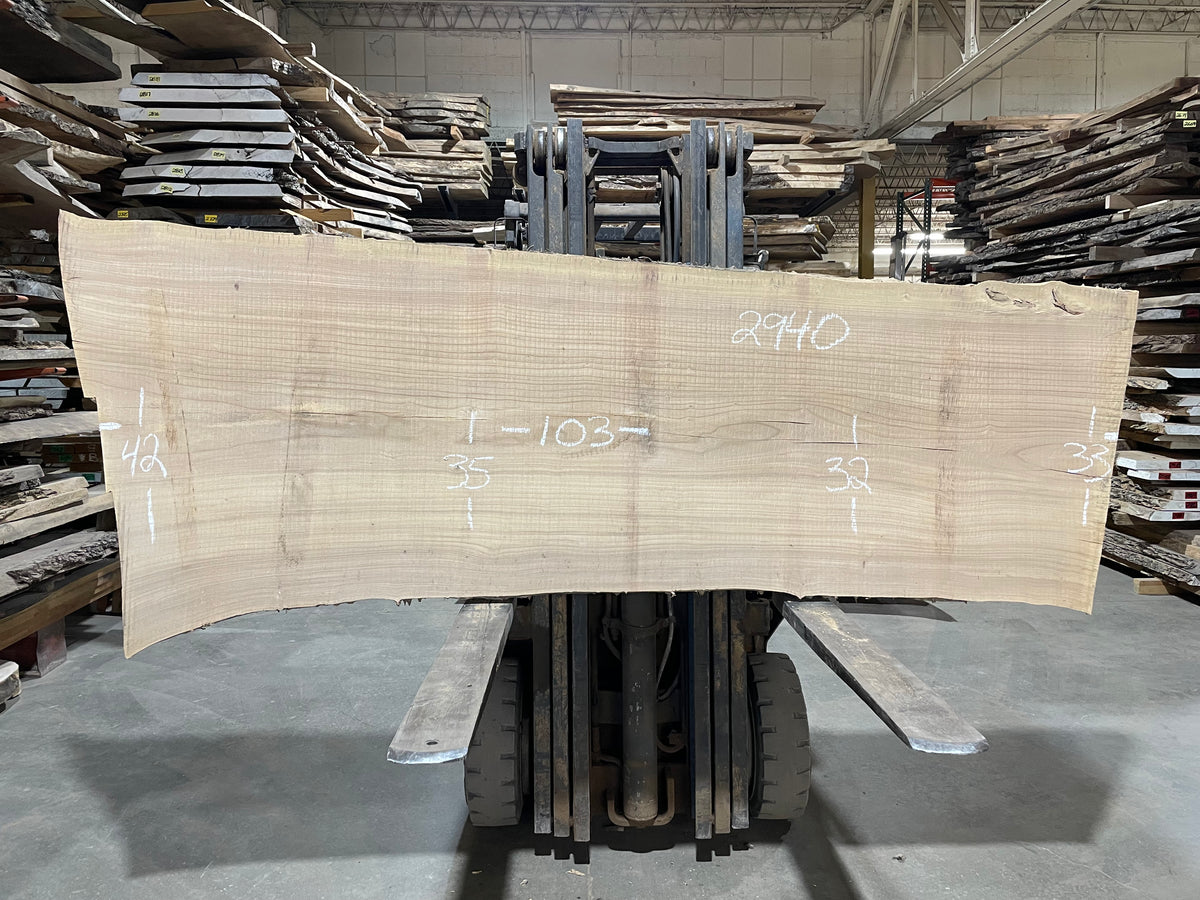 SIBERIAN ELM - (2940) 103” L X 32-42” W X 3” T