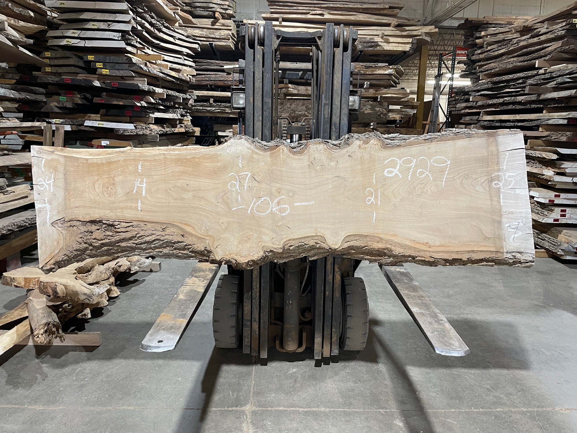 SIBERIAN ELM - (2929) 106” L X 14-25” W X 3” T