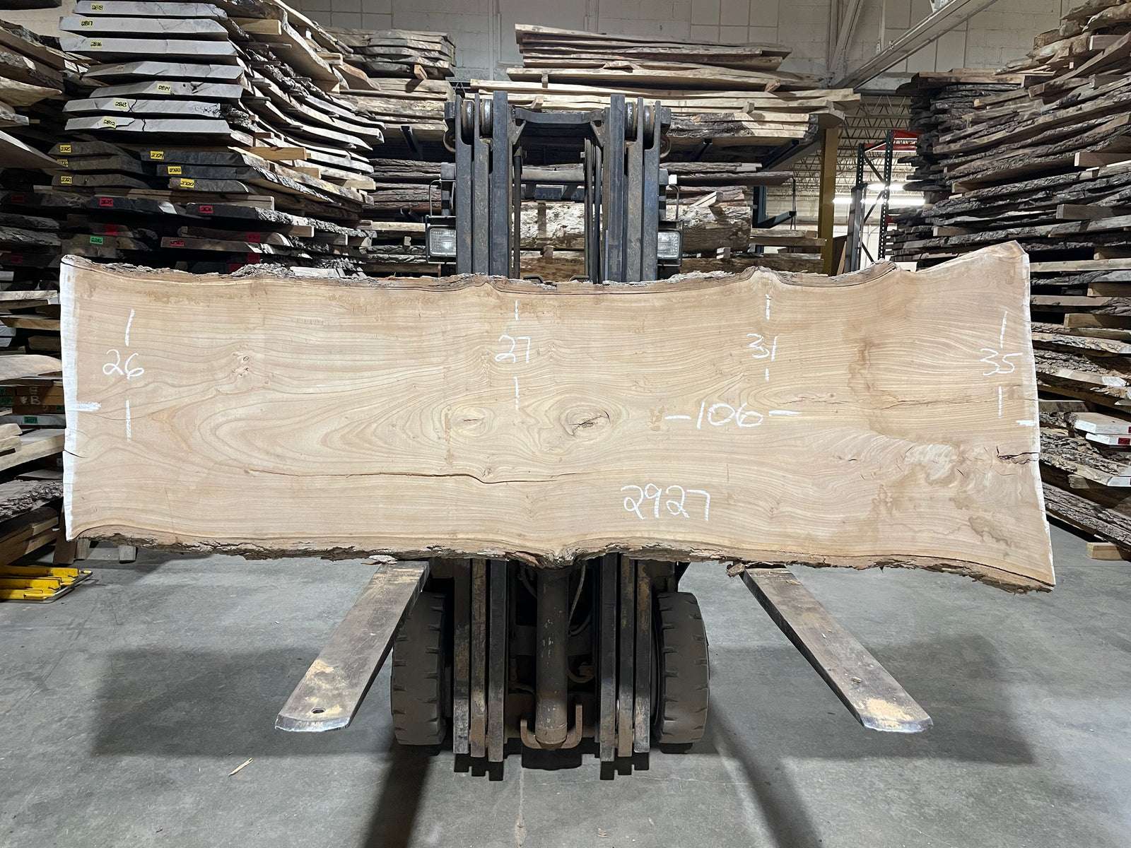 SIBERIAN ELM - (2927) 106” L X 26-35” W X 3” T