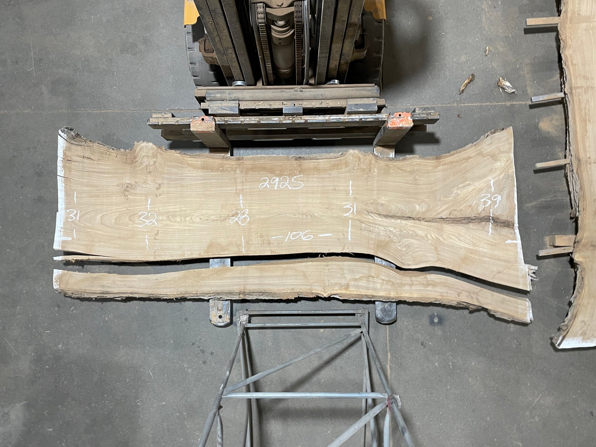 SIBERIAN ELM - (2925) 106” L X 28-39” W X 3” T