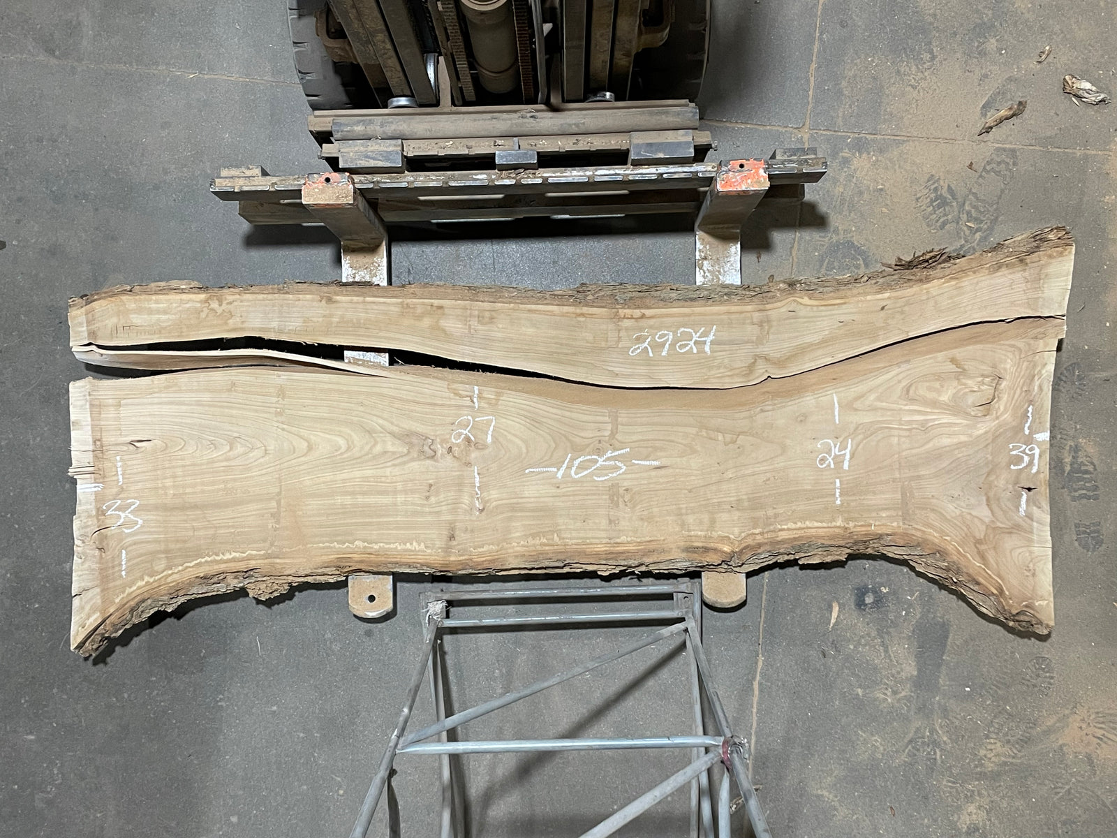 SIBERIAN ELM - (2924) 105” L X 24-39” W X 3” T