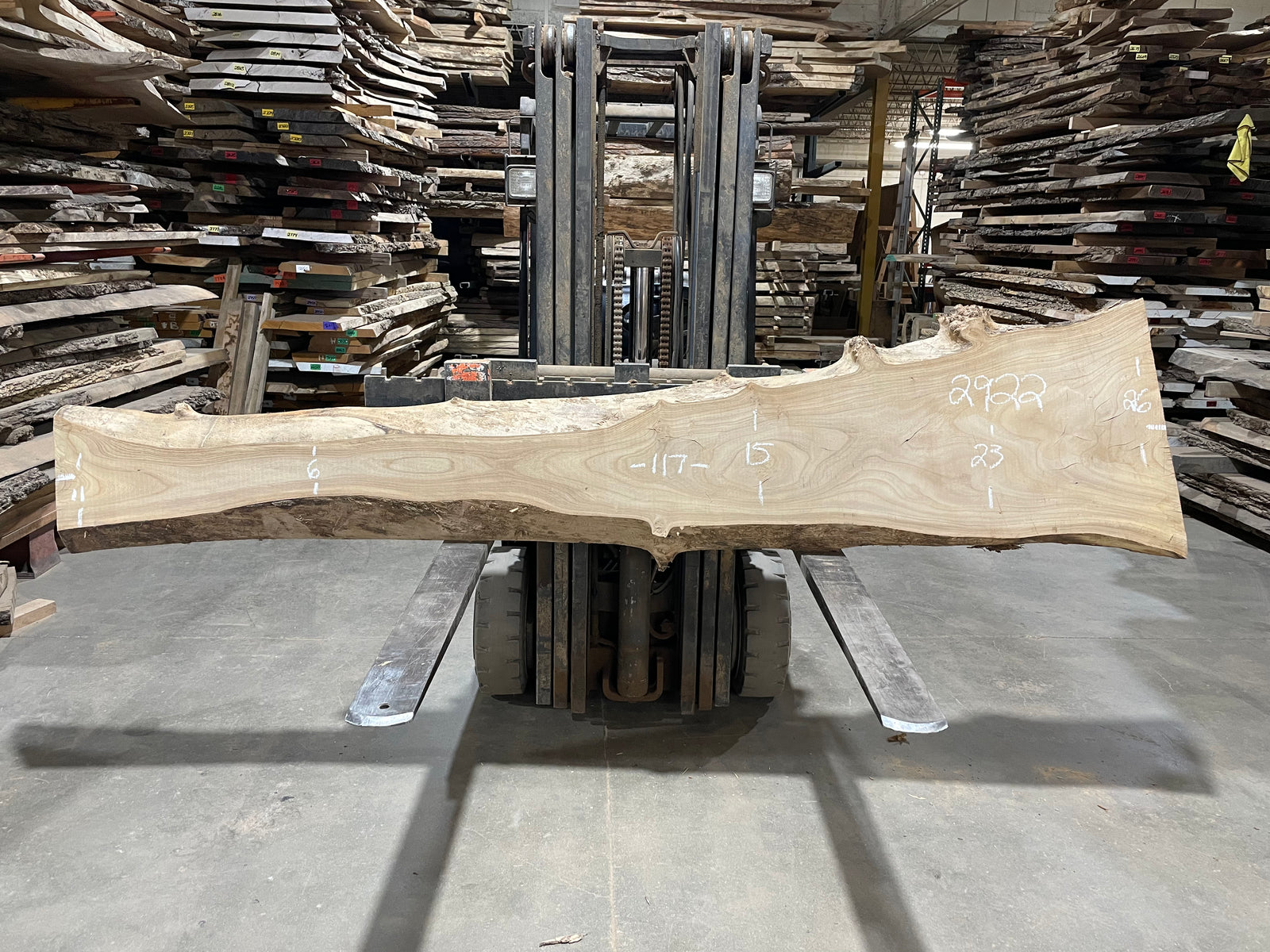 SIBERIAN ELM - (2922) 117” L X 6-26” W X 3” T