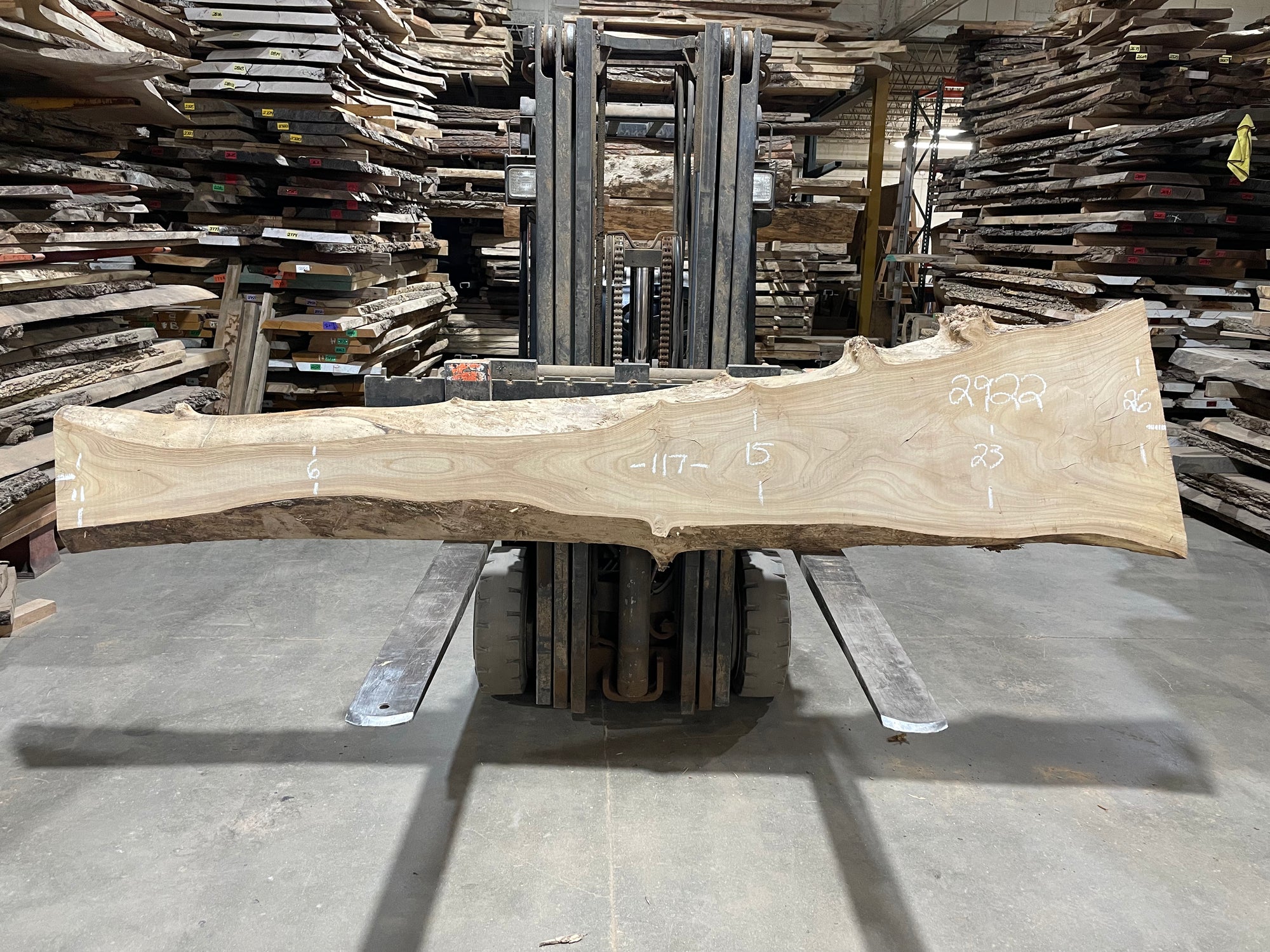 SIBERIAN ELM - (2922) 117” L X 6-26” W X 3” T