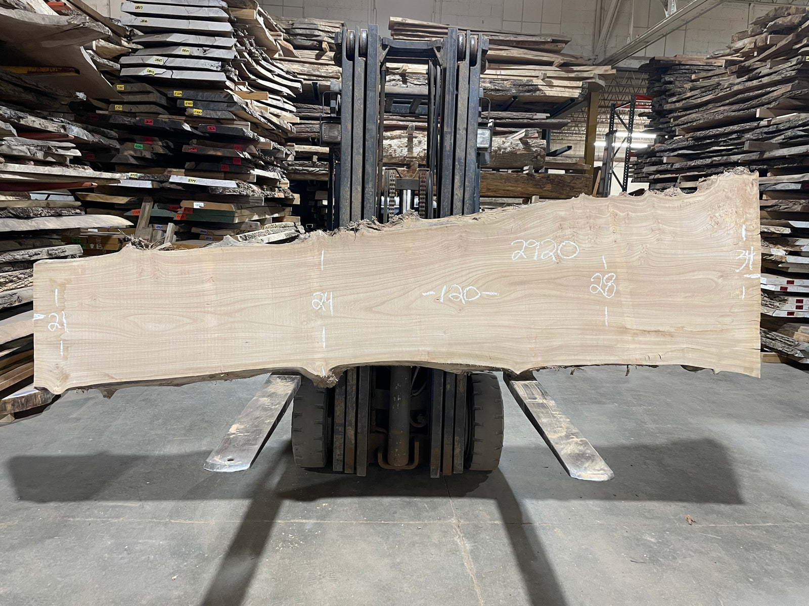SIBERIAN ELM - (2920) 120” L X 21-34” W X 3” T