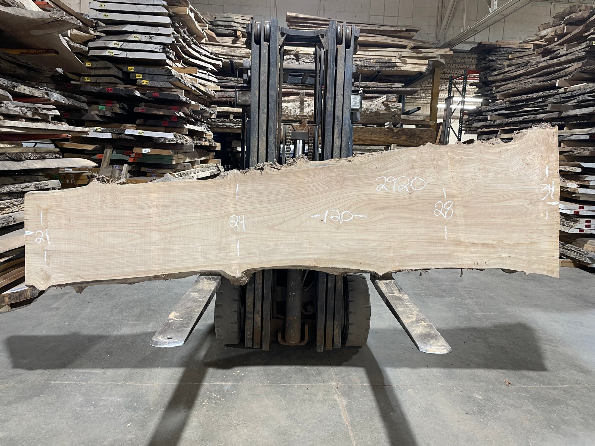 SIBERIAN ELM - (2920) 120” L X 21-34” W X 3” T