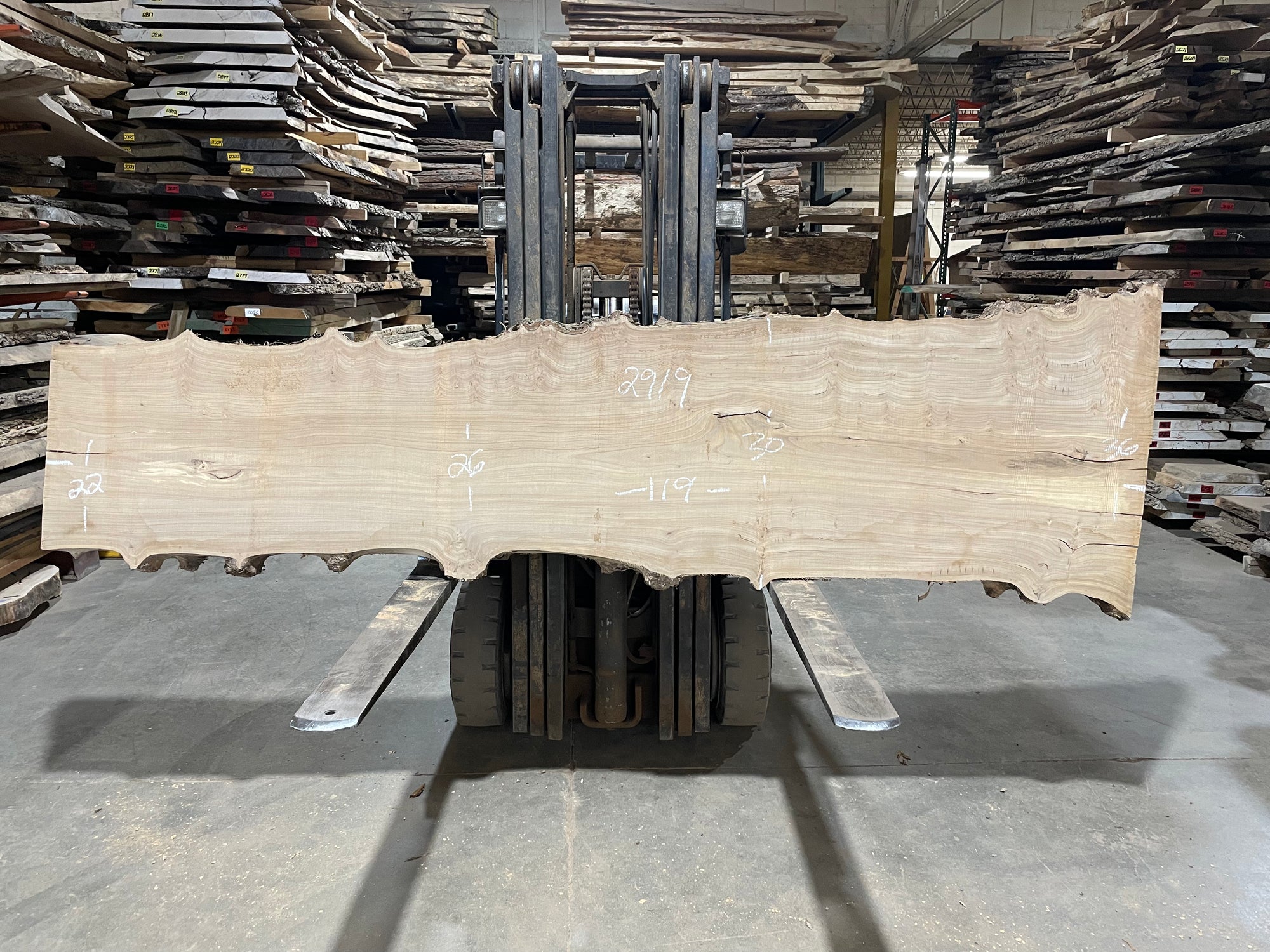 SIBERIAN ELM - (2919) 119” L X 22-36” W X 3” T