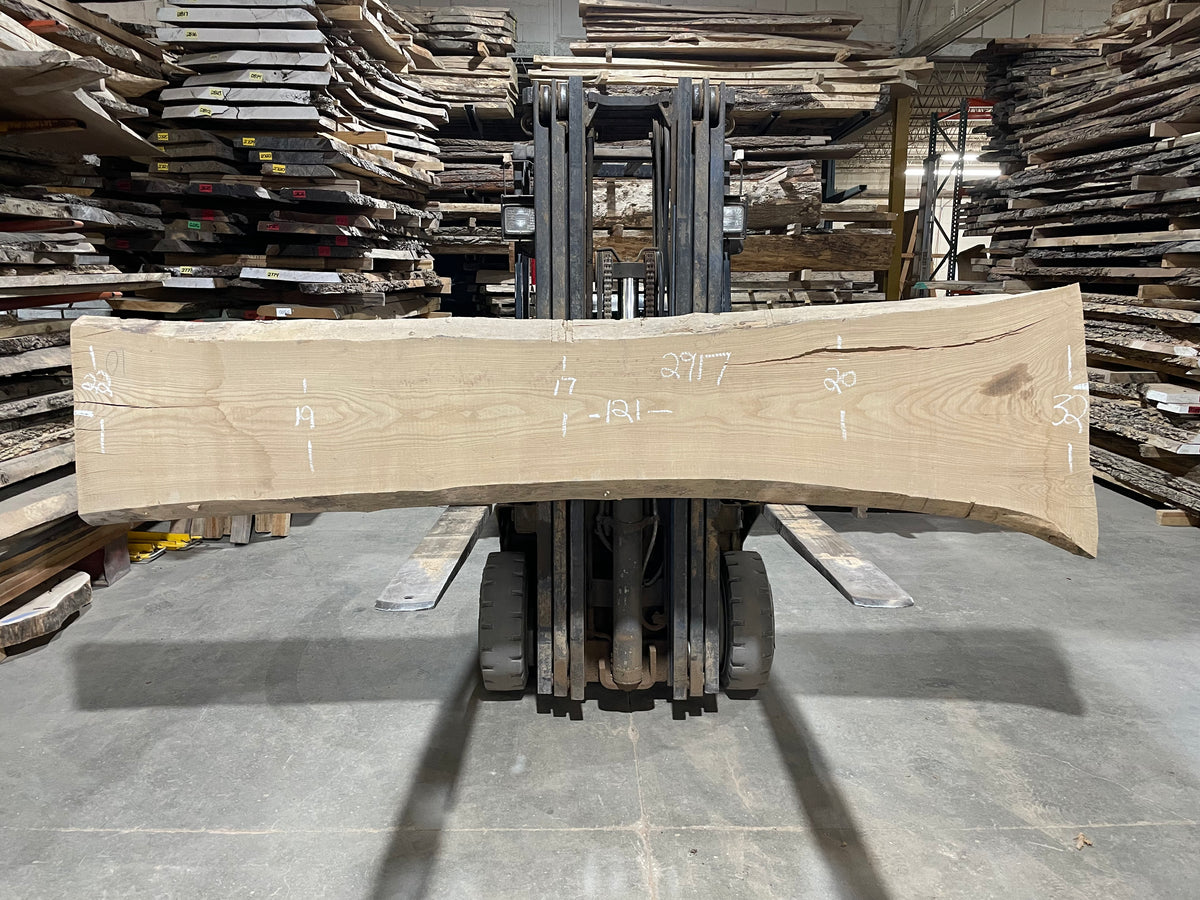 SIBERIAN ELM - (2917) 121” L X 17-32” W X 3” T