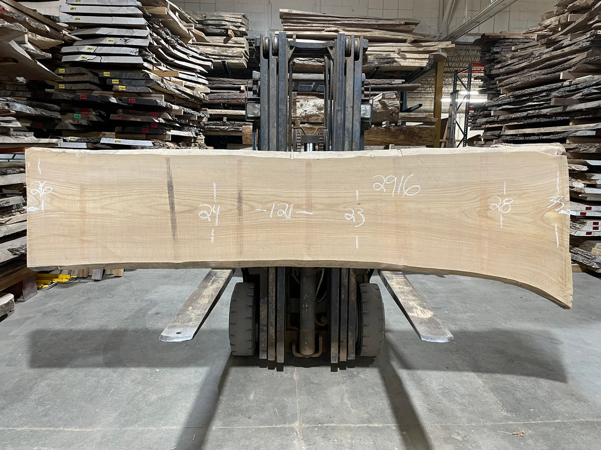 SIBERIAN ELM - (2916) 121” L X 23-33” W X 3” T