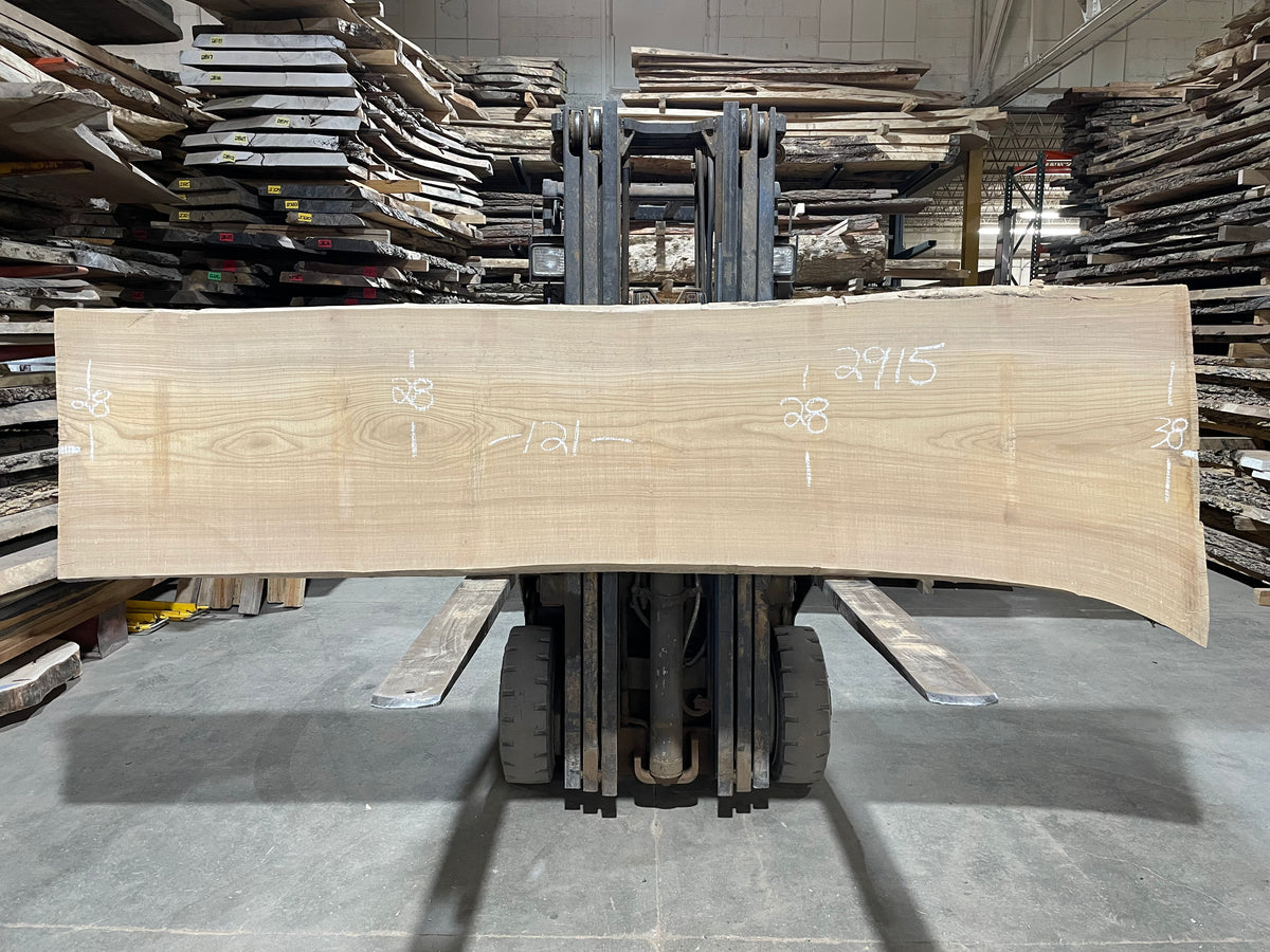 SIBERIAN ELM - (2915) 121” L X 28-38” W X 3” T
