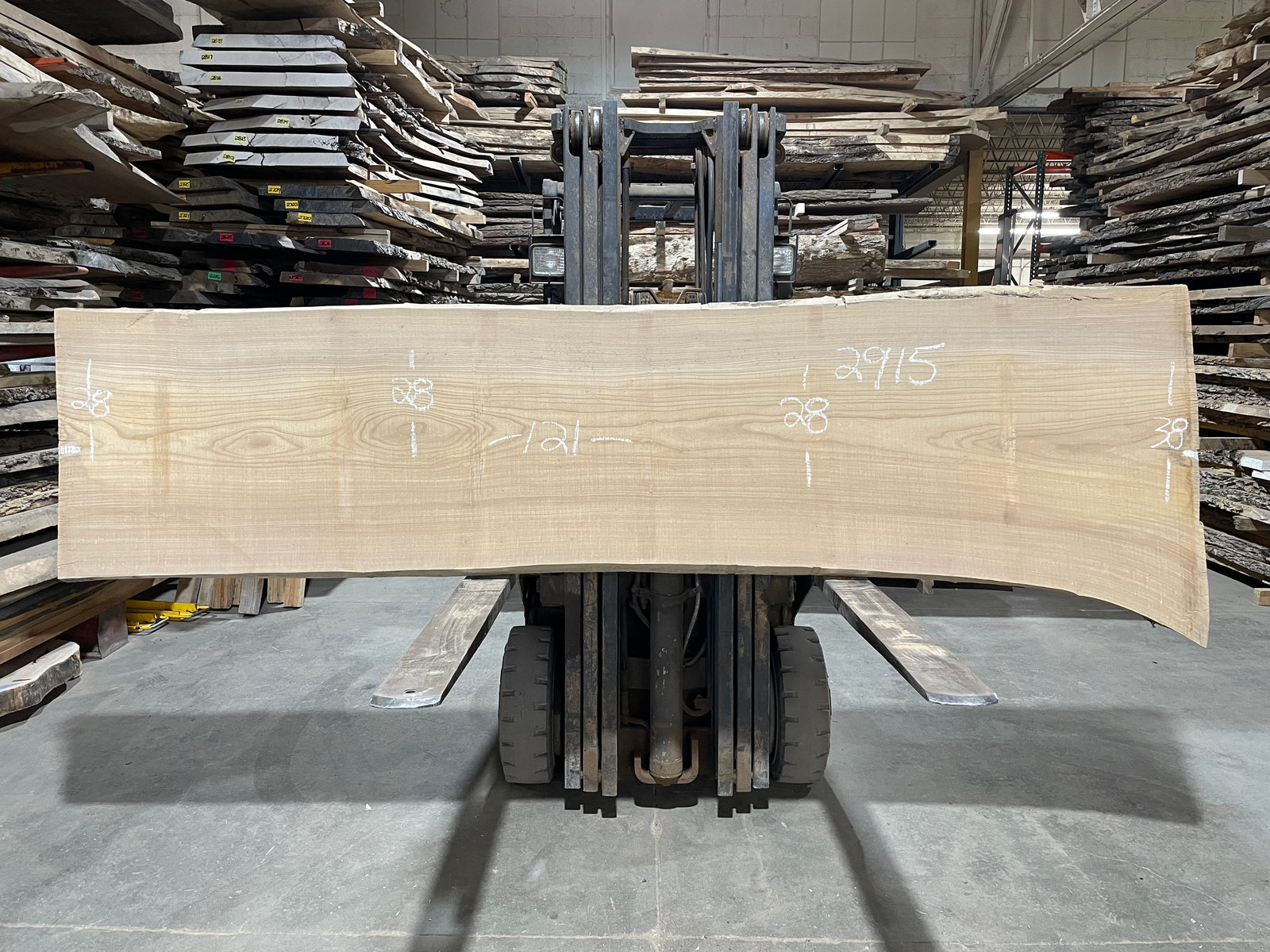 SIBERIAN ELM - (2915) 121” L X 28-38” W X 3” T