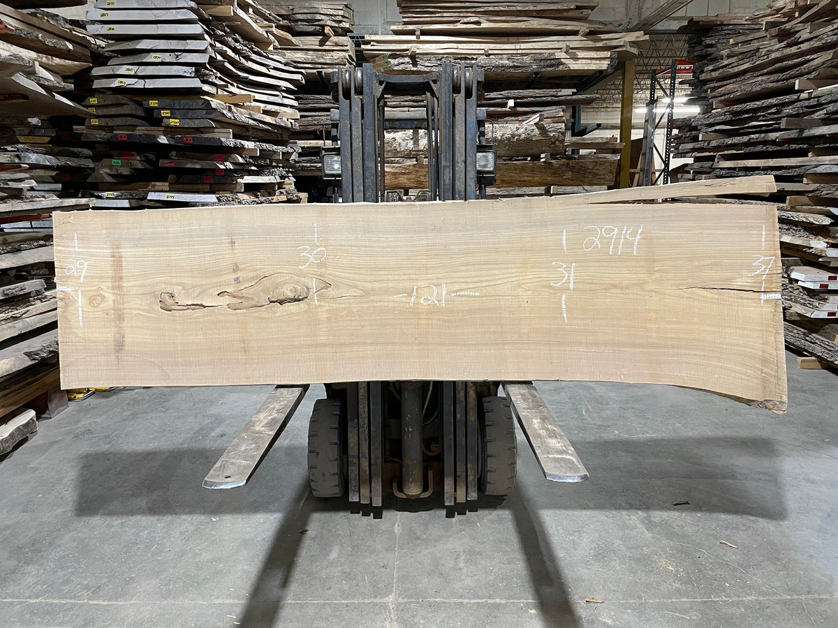 SIBERIAN ELM - (2914) 121” L X 29-37” W X 3” T