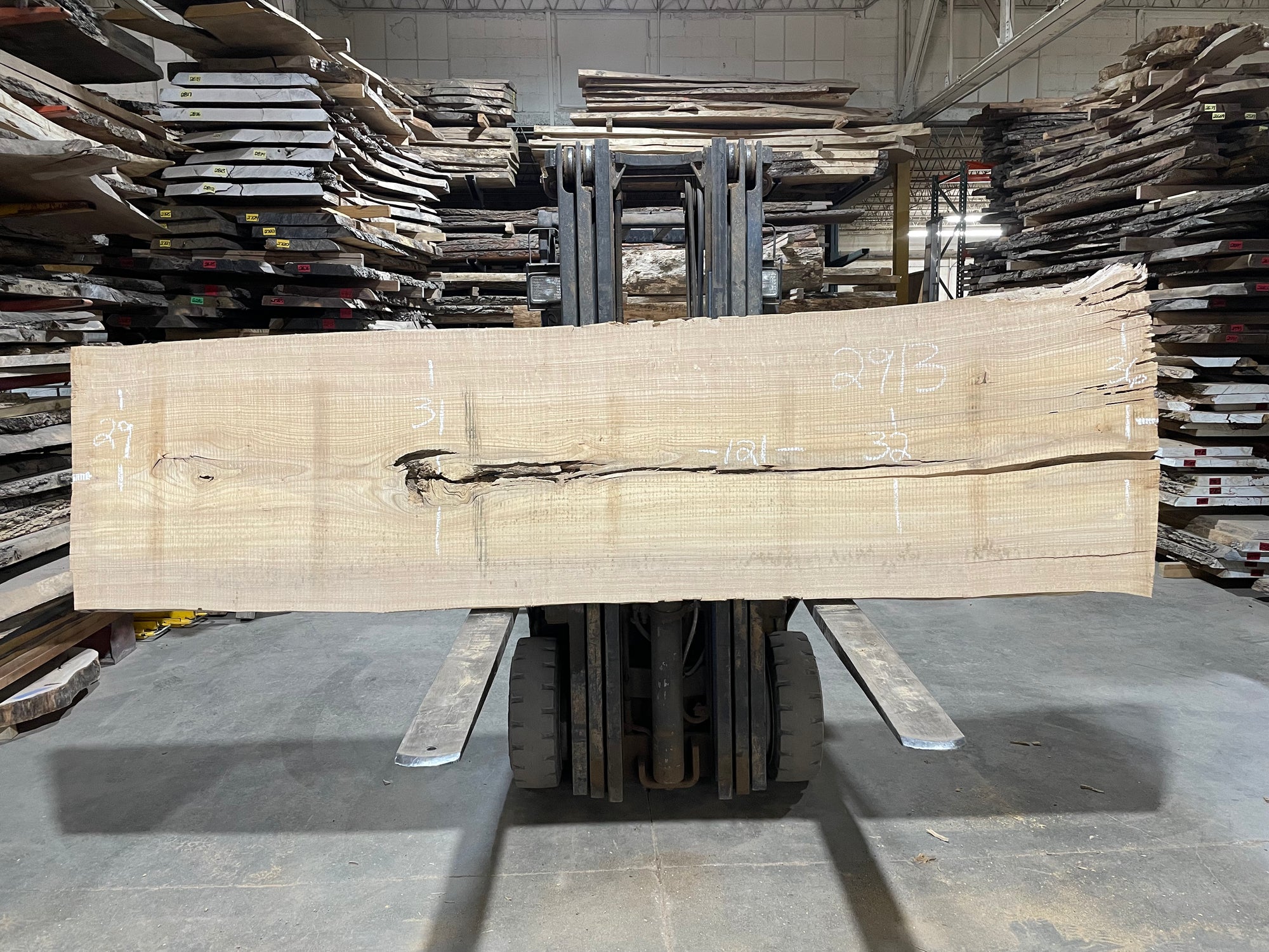 SIBERIAN ELM - (2913) 121” L X 29-36” W X 3” T