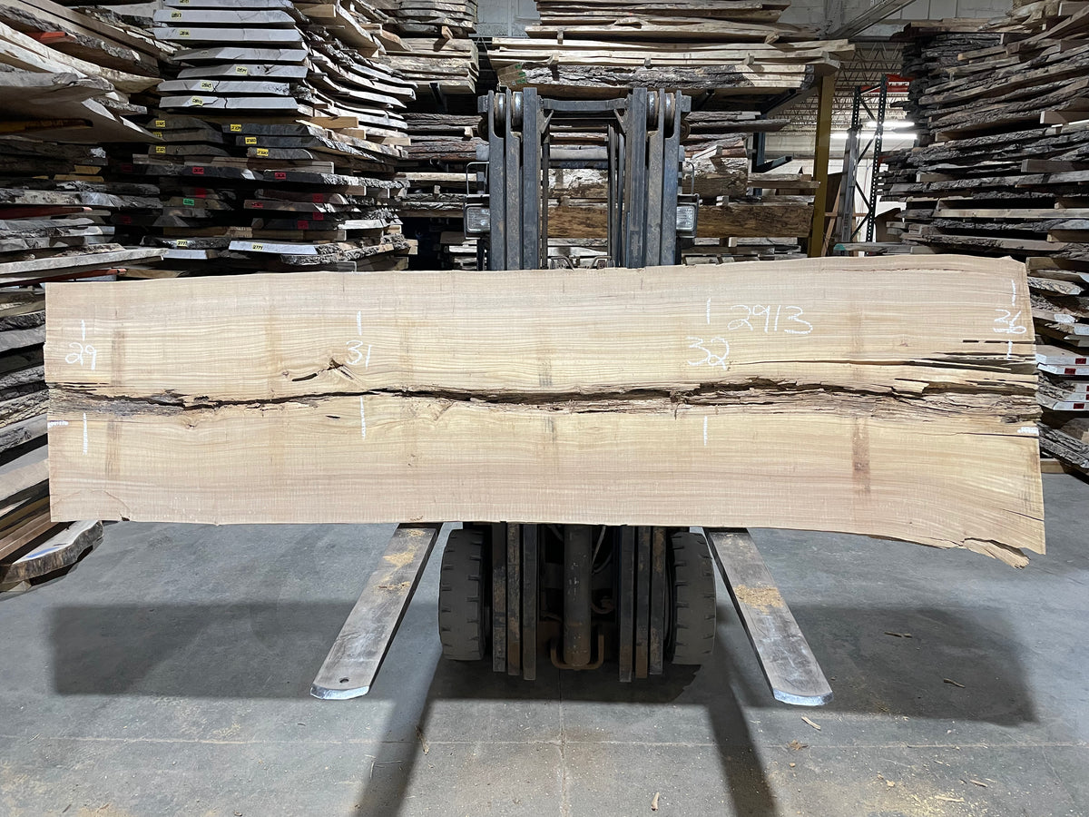 SIBERIAN ELM - (2913) 121” L X 29-36” W X 3” T