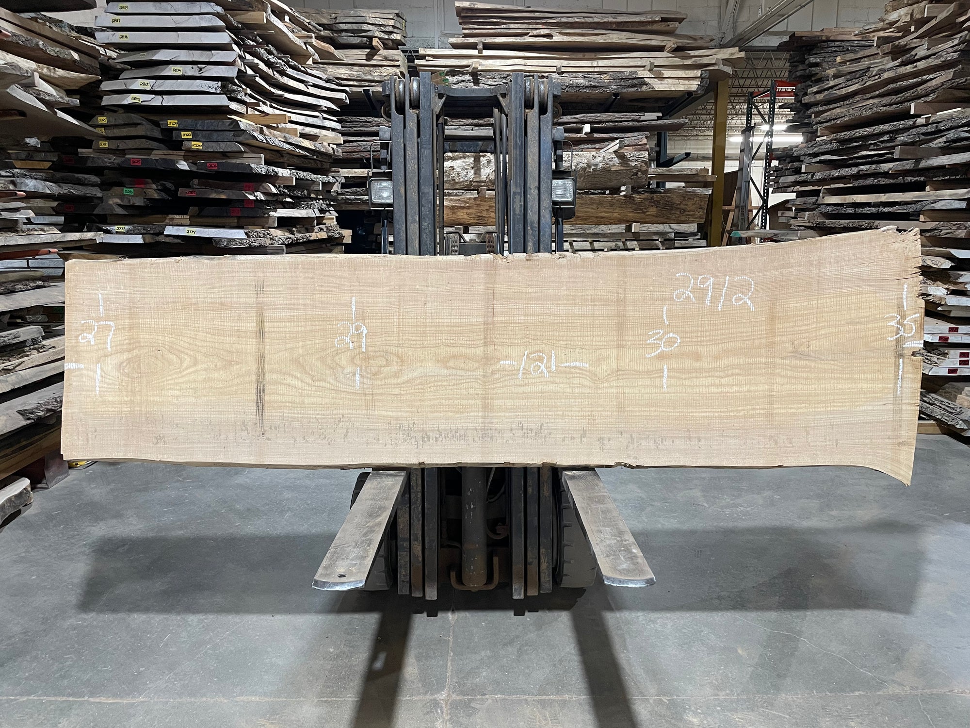 SIBERIAN ELM - (2912) 121” L X 27-35” W X 3” T