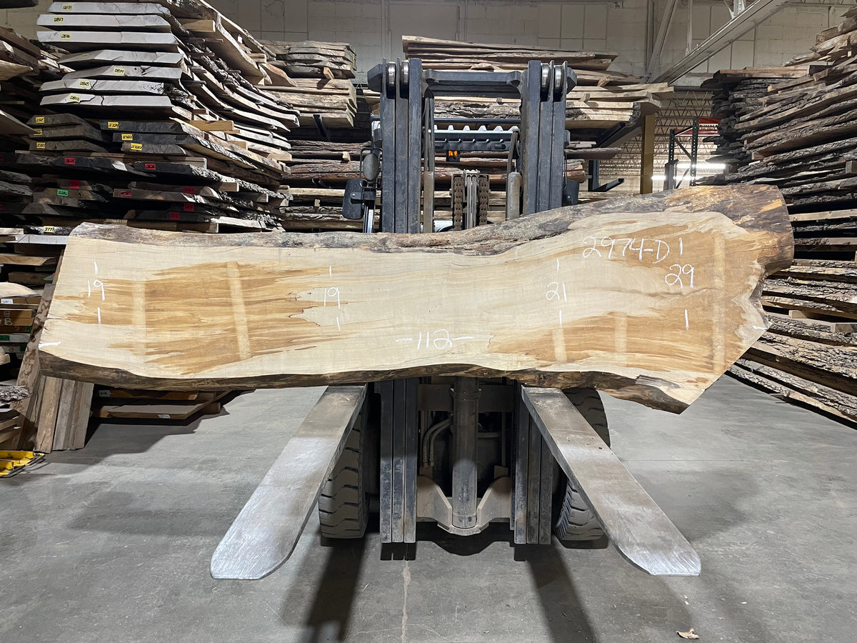 Maple - (2974) 112" L x 19-29" W x 3" T