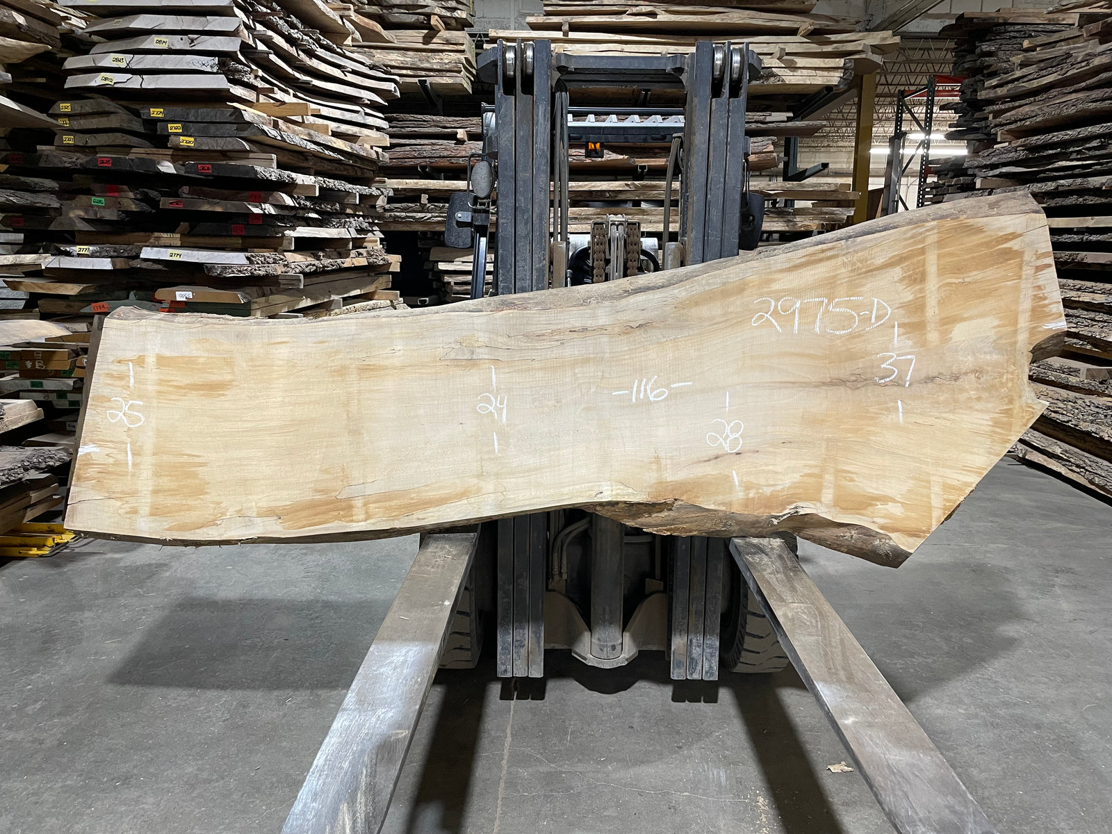 Maple - (2975) 116" L x 24-37" W x 3" T