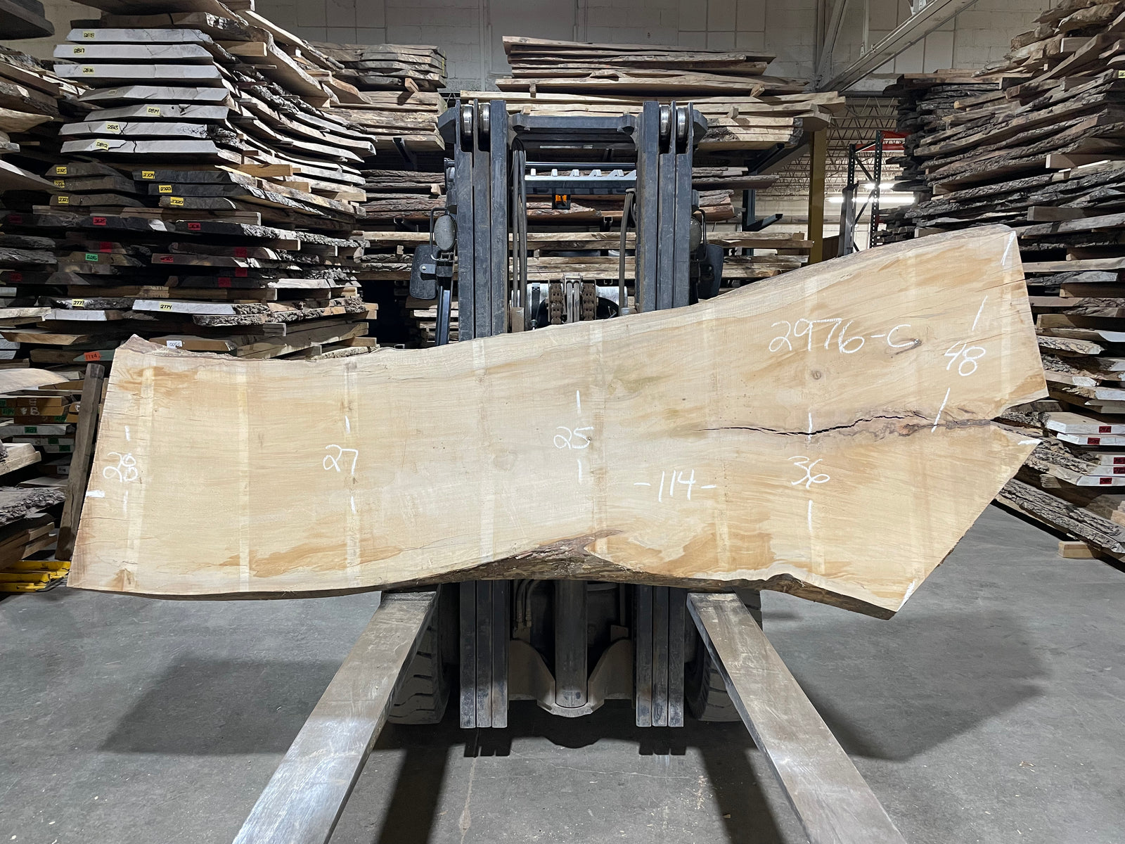 Maple - (2976) 114" L x 25-48" W x 3" T