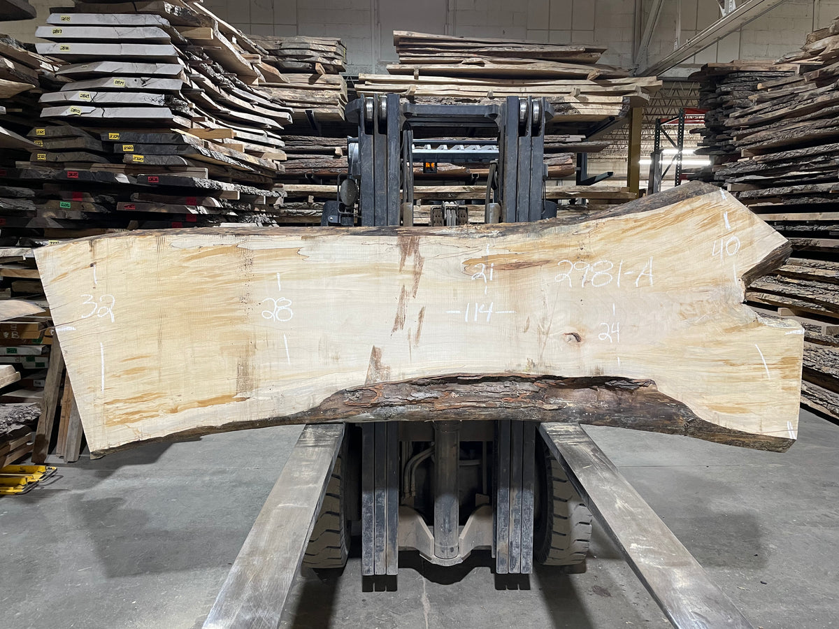 Maple - (2981) 114" L x 24-40" W x 3" T
