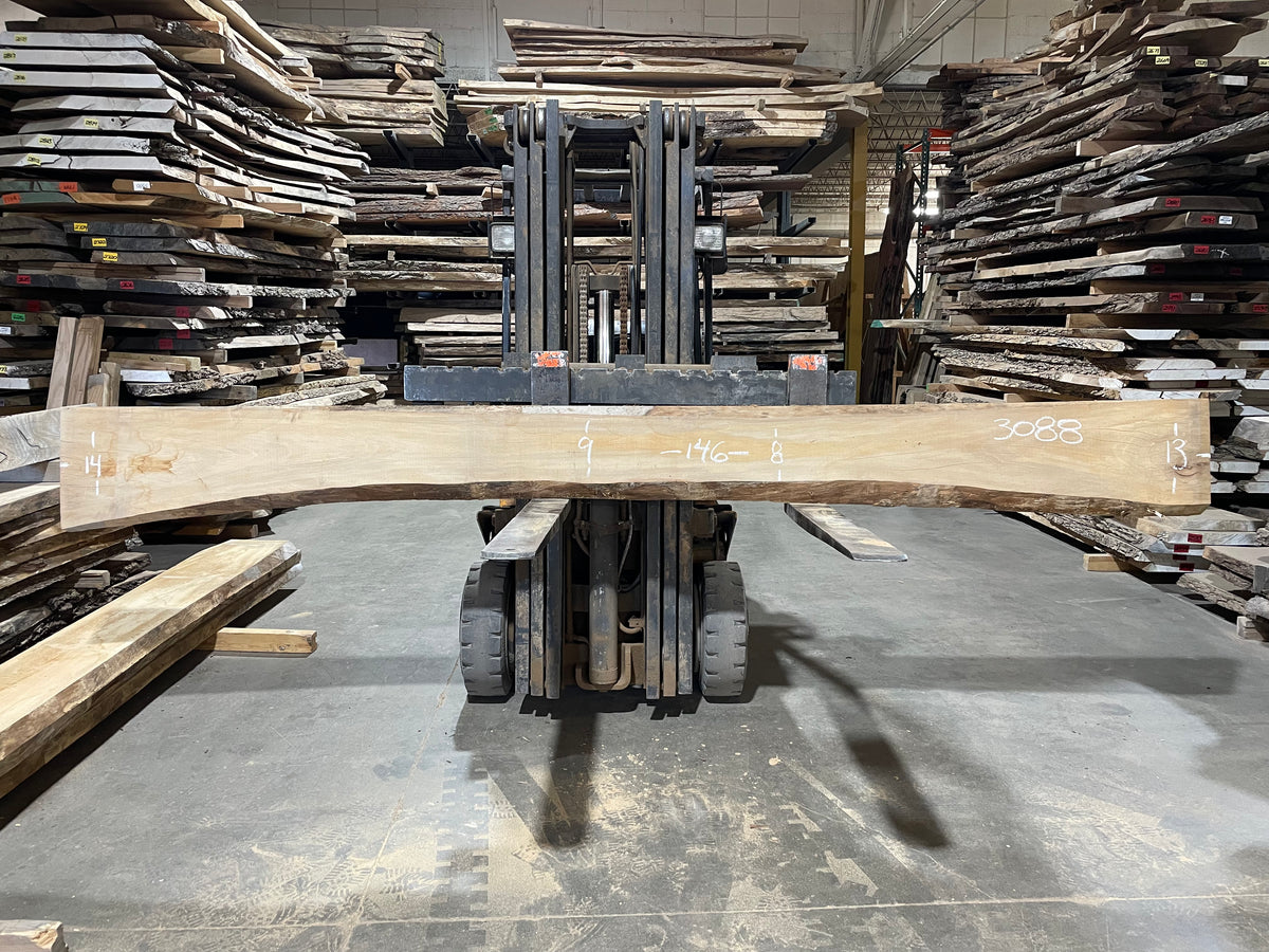 Sycamore (3088) 146” L x 8-14” W x 2.5” T