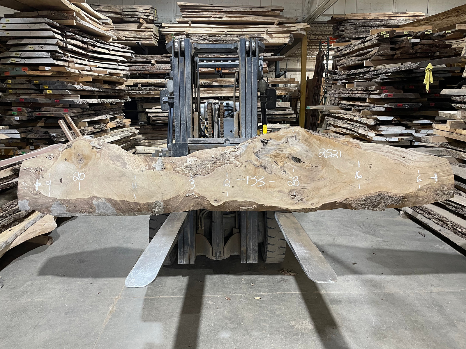 Sycamore  (2521)  133” L x 3-28” W x 2.5” T