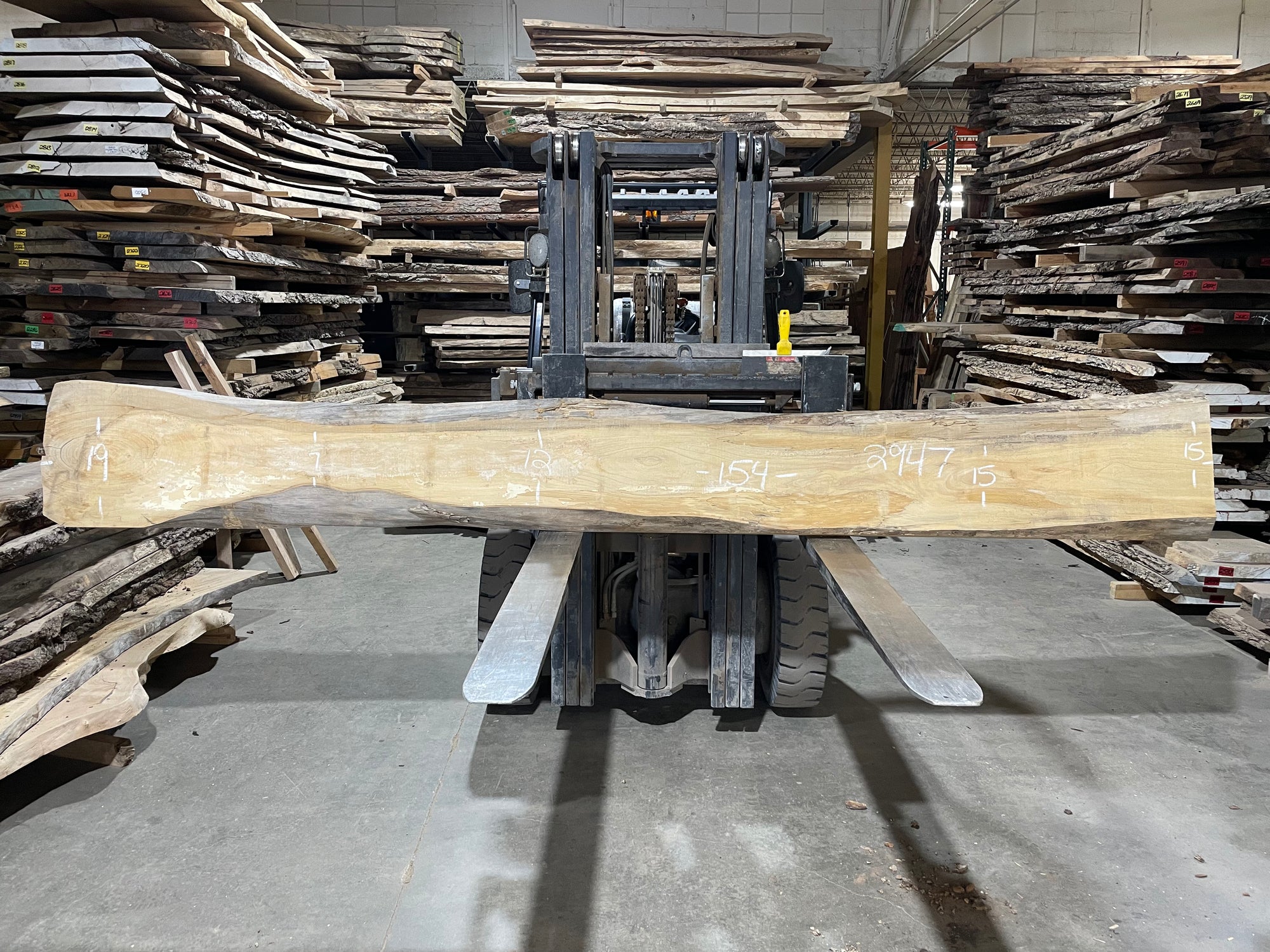 American Elm (2947)  154” L x 7-19” W x 3” T