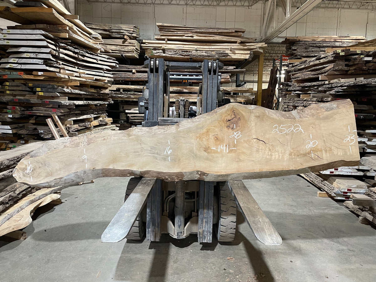 Sycamore  (2522)  141” L x 9-23” W x 2.5” T