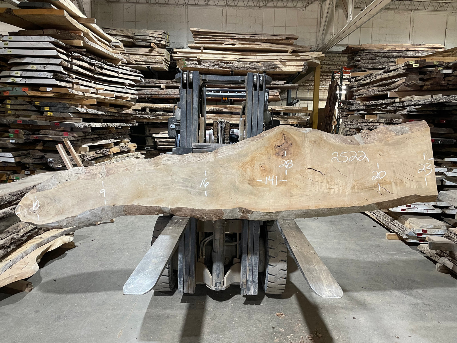 Sycamore  (2522)  141” L x 9-23” W x 2.5” T