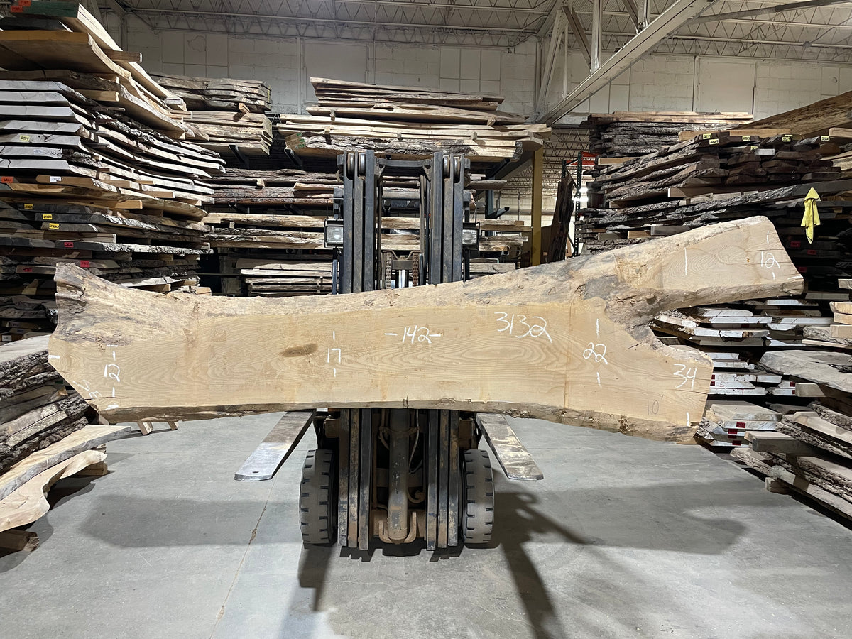 Siberian Elm (3132)  142” L x 12-34” W x 3” T