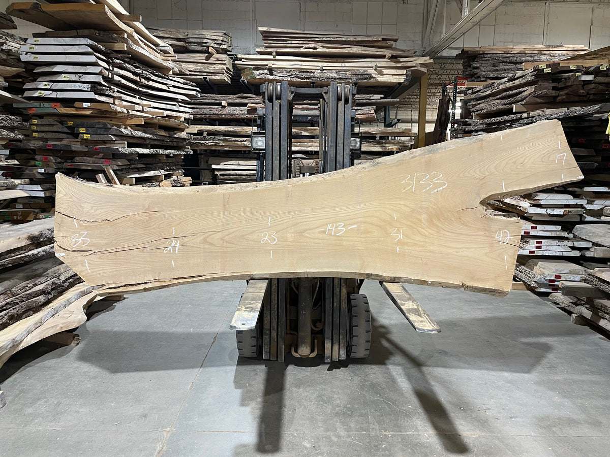 Siberian Elm (3133)  143” L x 23-42” W x 3” T