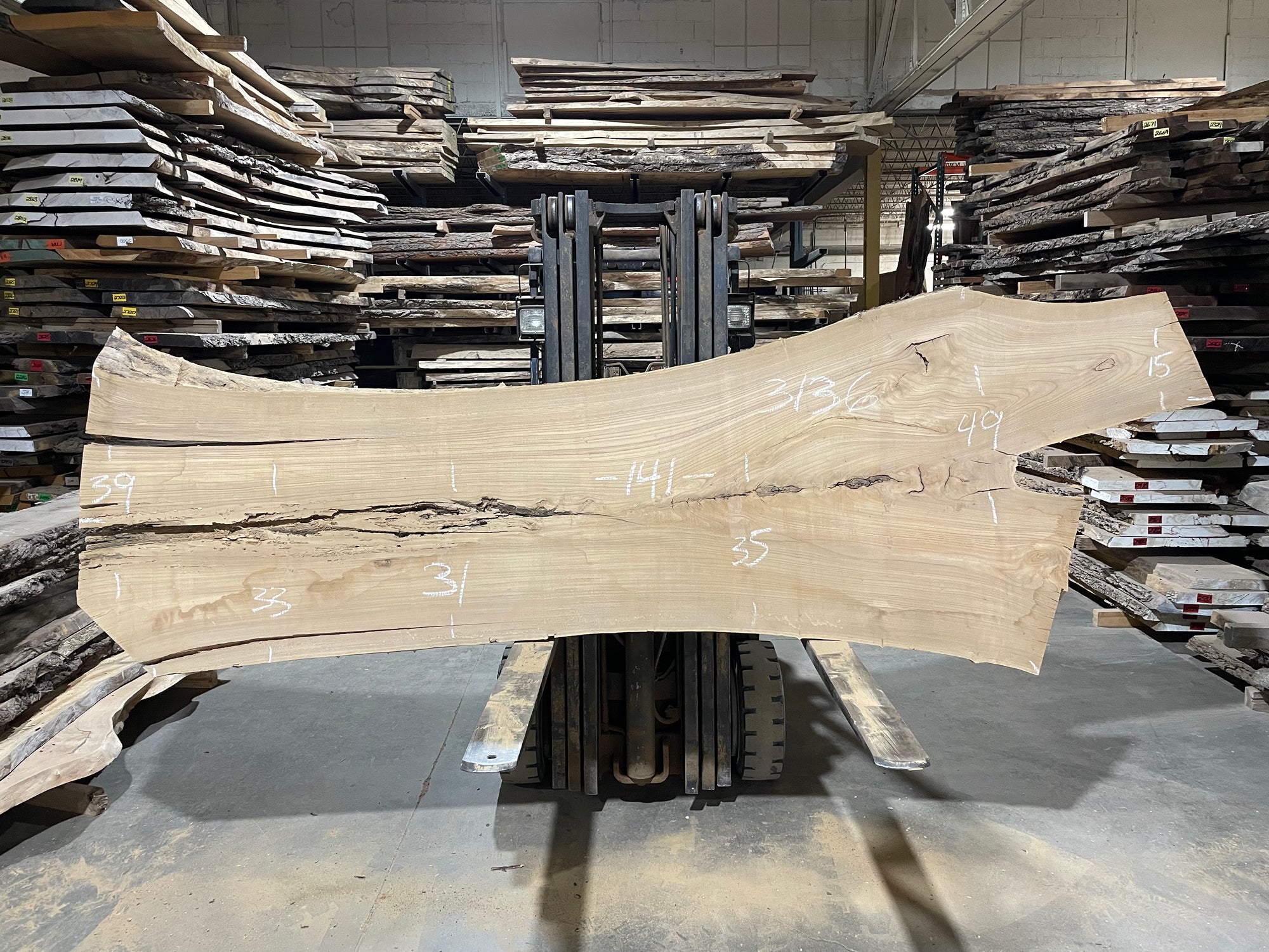 Siberian Elm (3136)  141” L x 31-49” W x 3” T