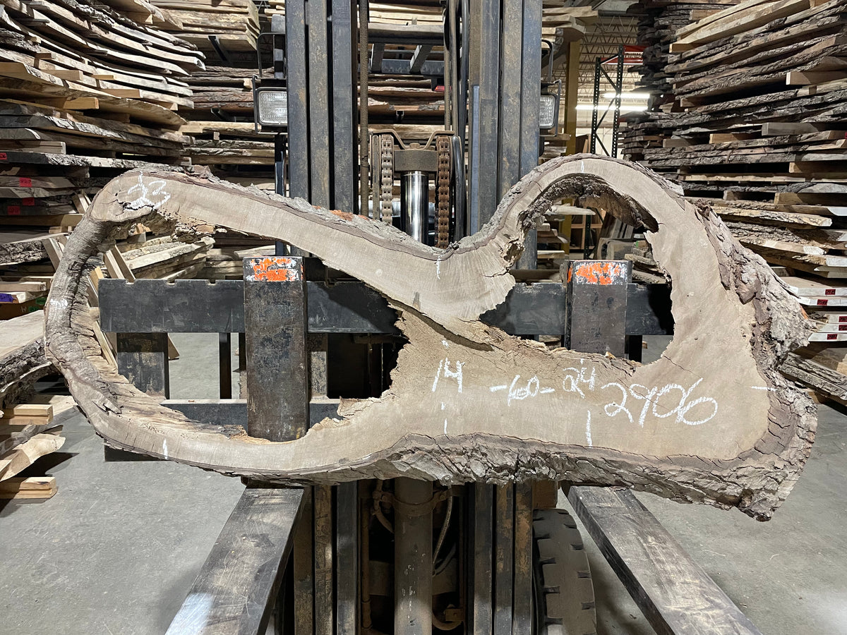 Maple - (2906) 60&quot; L x 14-24&quot; W x 2.25&quot; T