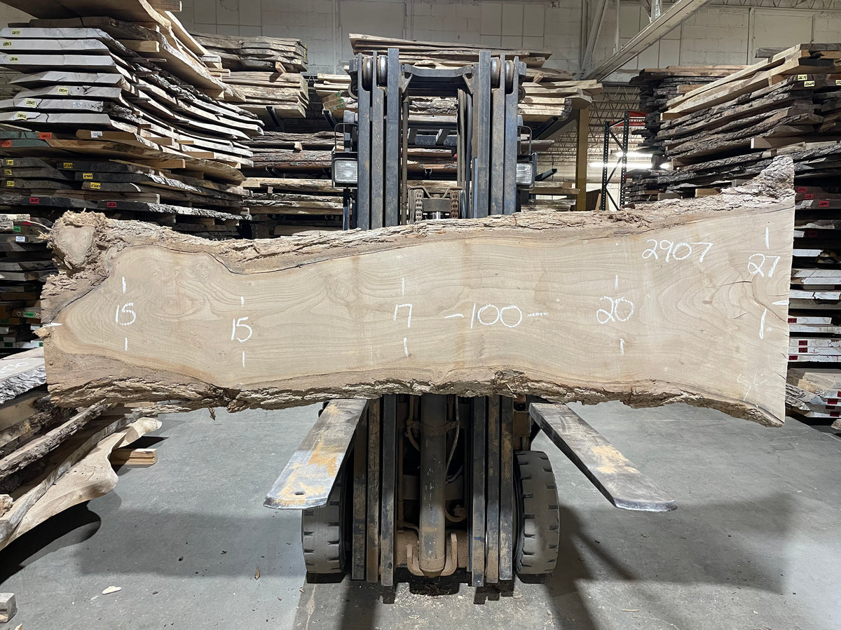 Maple - (2907) 100&quot; L x 15-27&quot; W x 2.5&quot; T