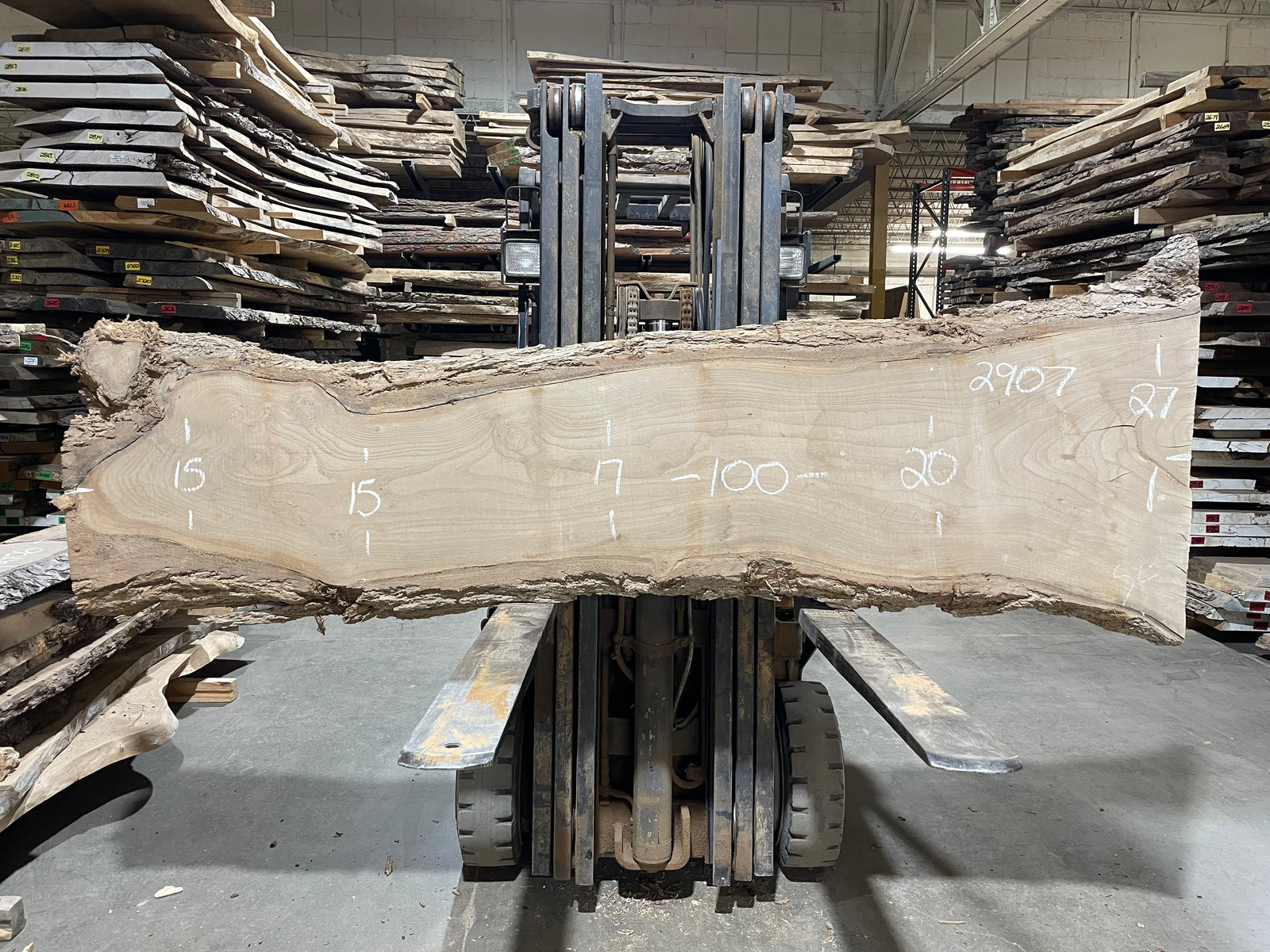 Maple - (2907) 100" L x 15-27" W x 2.5" T